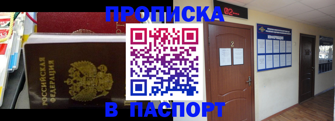 прописка гарантия в Трубчевске
